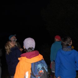 Man and Woman on a walk