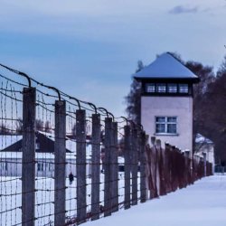Concentration camp in the snow
