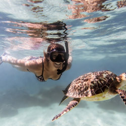 Snorkeling Tour in Coiba Island National Park