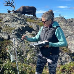 The Creative Language of Nature - A two day painting workshop at Henbant Permaculture Farm