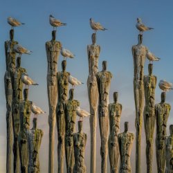 Personal Issue and Family Constellations Workshop with Sara Poss