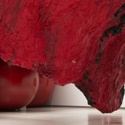 Friends of Kenwood: Guided Tour of Anish Kapoor Exhibition