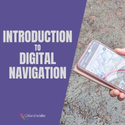 Introduction to Digital Navigation