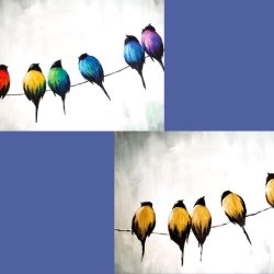 Birds on a Wire
