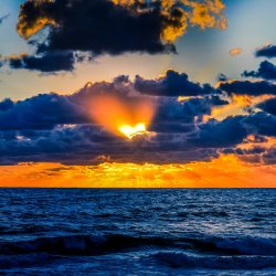 Online: Heart Nurturing Workshop for Summer