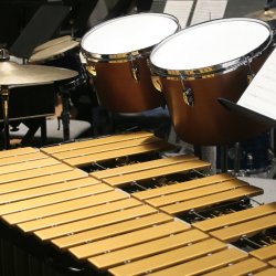 FORT CONCHO Elementary PERCUSSION Enrichment FALL 2026