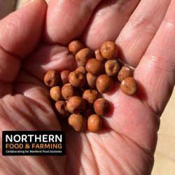 Northern seeds and breeds theme meeting