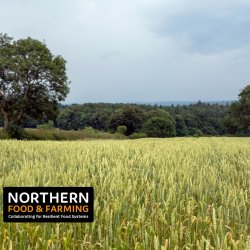 Co-Design Day: A collaborative approach to cleaning and processing of diverse arable crops for the North.