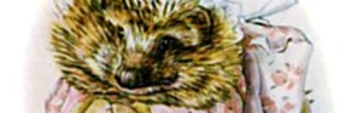 Meet Mrs Tiggy-Winkle with Mud Pie Arts at Dringhouses Library