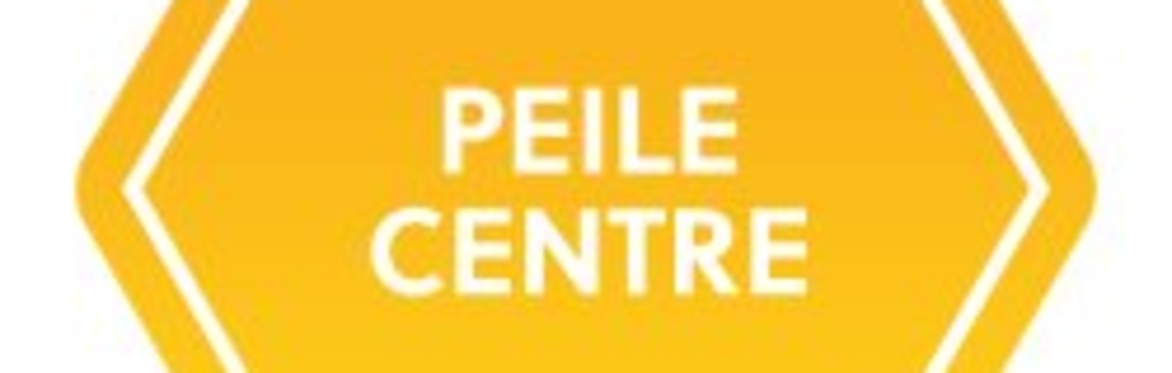 Peile Centre, Chantry Academy - Tour