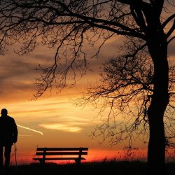 Guilt and Regret After Loss