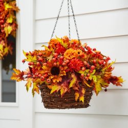 Autumn Seasonal Makers - Autumn Hanging Baskets or Container