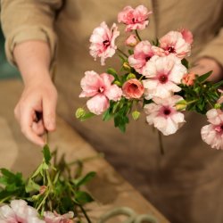 Ranunculus Masterclass with Greystone Flowers