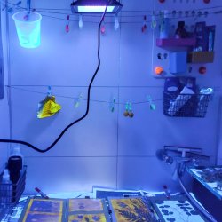 T42. Learn all Sunlight based Processes Outside the Darkroom with Henri Blommers