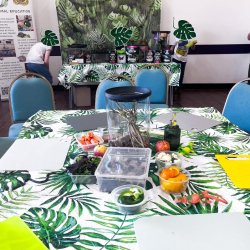 Mirfield home education workshops 5-10s