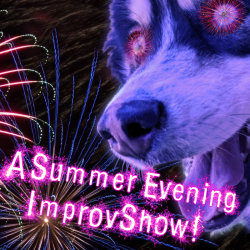 A husky dog enchanted by fireworks