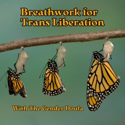 Breathwork for Trans Liberation 2026