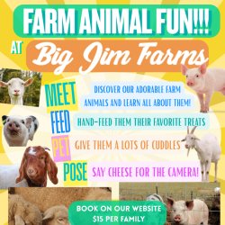 FARM ANIMAL ENCOUNTERS Meet • Feed • Pet • Pose