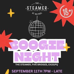 Boogie Night