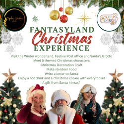 Fantasyland Christmas Experience
