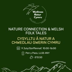 Nature Connection & Welsh Folk Tales / Cysylltu â Natur a Chwedlau Gwerin Cymru