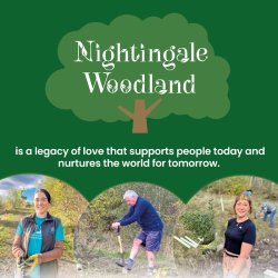 The Nightingale Woodland