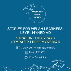 Stories for Welsh learners / Straeon i ddysgwyr Cymraeg LEFEL MYNEDIAD
