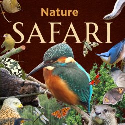 Nature Safari