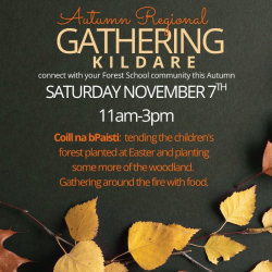 Wicklow & Kildare Region- Autumn Gathering 2026