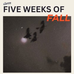 Five Weeks Of Fall