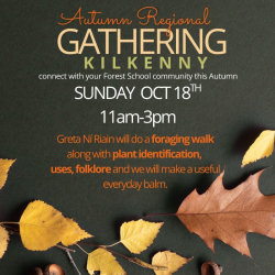 Carlow, Kilkenny, Wexford & Waterford Region- Autumn Gathering 2026