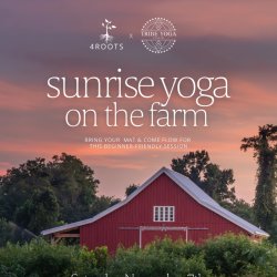 Sunrise Yoga on the Farm: Beginner Friendly Yoga