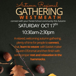 Offaly, Westmeath, Laois, Longford Region- Autumn Gathering 2026