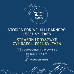Stories for Welsh learners / Straeon i ddysgwyr Cymraeg LEFEL SYLFAEN