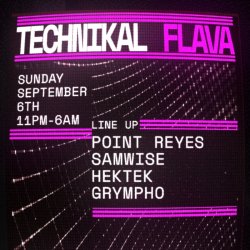 Technikal Flava