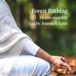 Forest Bathing