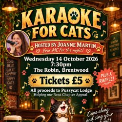 Karaoke for Cats