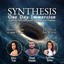 SYNTHESIS One-Day Immersion