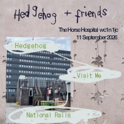 Hedgehog and Friends. Hedgehog's Tape Release at The Horse Hospital