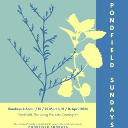Pondfield Sundays