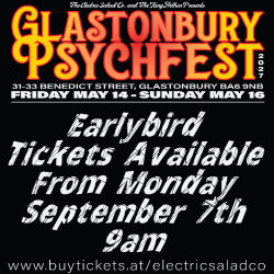 Glastonbury Psychfest 2027