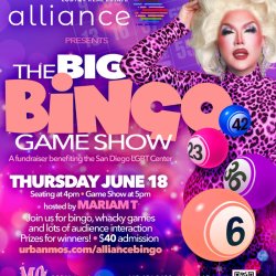 The Big Bingo Game Show