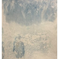 T58. Cliché-Verre Expanded: Toning with Cyanotypes with Daniel Hojnacki