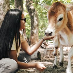Event: On-Farm Field Trip