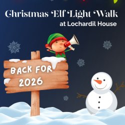 Christmas Elf Light Walk