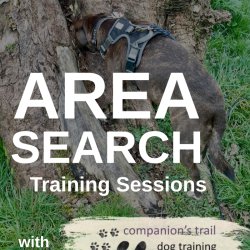 Dog searching a tree trunk