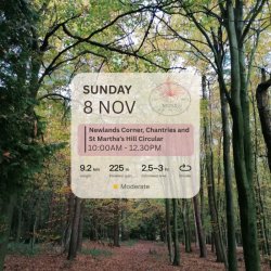 Newlands Corner, Chantries and St Martha’s Hill 9k Circular