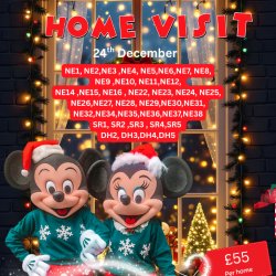 Mickey & Minnie REGULAR Christmas Eve Home Visit