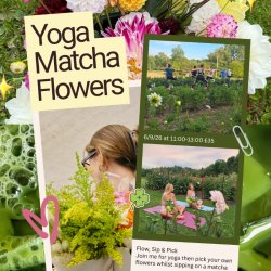 Flow, sip & pick 🧘🏽‍♀️🍵💐