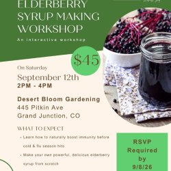 Elderberry Syrup Making Workshop